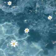 涼風　いつき ✉️🕊 雫(しずく)