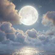 ヒメ日記 2025/12/23 00:48 投稿 涼風　いつき 雫(しずく)