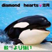 ヒメ日記 2024/01/18 22:56 投稿 悠月(ゆづき) Diamond Hearts