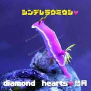 ヒメ日記 2024/01/18 23:32 投稿 悠月(ゆづき) Diamond Hearts