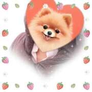 ヒメ日記 2025/03/11 17:20 投稿 堂本めい 五十路マダム静岡店（カサブランカG）