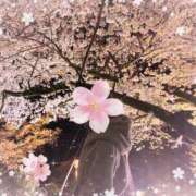 ヒメ日記 2025/04/03 22:00 投稿 堂本めい 五十路マダム静岡店（カサブランカG）