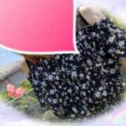 ヒメ日記 2025/08/31 16:00 投稿 堂本めい 五十路マダム静岡店（カサブランカG）