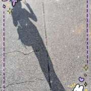 堂本めい (^o^) 五十路マダム静岡店（カサブランカG）