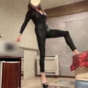 HIKARU 年内完売🈵 TALL