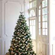 ヒメ日記 2024/12/25 22:32 投稿 はるか 虹色メロンパイ 横浜店