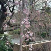 ヒメ日記 2025/04/03 22:43 投稿 はるか 虹色メロンパイ 横浜店