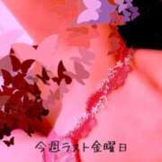 ヒメ日記 2024/12/13 11:22 投稿 まりえ 熟女の風俗最終章 高崎店