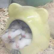 ヒメ日記 2025/01/09 08:21 投稿 まりえ 熟女の風俗最終章 高崎店