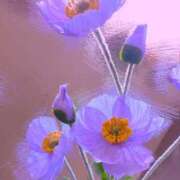 ヒメ日記 2025/02/25 10:12 投稿 まりえ 熟女の風俗最終章 高崎店