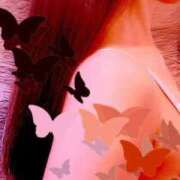 ヒメ日記 2025/05/20 10:40 投稿 まりえ 熟女の風俗最終章 高崎店