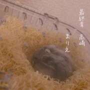 ヒメ日記 2025/09/22 08:38 投稿 まりえ 熟女の風俗最終章 高崎店