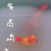 ヒメ日記 2025/10/17 22:08 投稿 まりえ 熟女の風俗最終章 高崎店