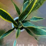 ヒメ日記 2026/02/23 09:39 投稿 まりえ 熟女の風俗最終章 高崎店