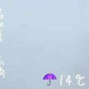 ヒメ日記 2026/04/15 07:34 投稿 まりえ 熟女の風俗最終章 高崎店