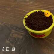 ヒメ日記 2026/05/02 08:53 投稿 まりえ 熟女の風俗最終章 高崎店