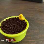 ヒメ日記 2026/05/03 07:20 投稿 まりえ 熟女の風俗最終章 高崎店