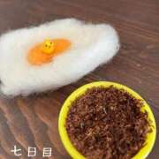 ヒメ日記 2026/05/08 07:48 投稿 まりえ 熟女の風俗最終章 高崎店