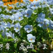ヒメ日記 2026/05/14 12:20 投稿 まりえ 熟女の風俗最終章 高崎店