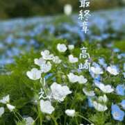 ヒメ日記 2026/06/01 12:18 投稿 まりえ 熟女の風俗最終章 高崎店