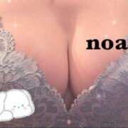 ヒメ日記 2025/02/05 19:31 投稿 ノア セクシーパラダイス3