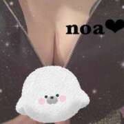 ヒメ日記 2025/03/07 19:31 投稿 ノア セクシーパラダイス3