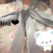 ヒメ日記 2025/11/15 21:40 投稿 ノア セクシーパラダイス3