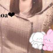 ヒメ日記 2026/01/18 19:20 投稿 ノア セクシーパラダイス3