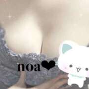 ノア 出勤 セクシーパラダイス3