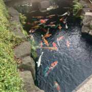 ヒメ日記 2026/01/24 23:33 投稿 みか モアグループ南越谷人妻花壇