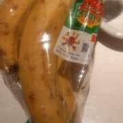 ヒメ日記 2025/02/13 09:38 投稿 池上　せいさ エテルナ京都