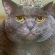 ヒメ日記 2025/02/27 22:24 投稿 池上　せいさ エテルナ京都