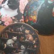 ヒメ日記 2025/03/11 09:40 投稿 池上　せいさ エテルナ京都