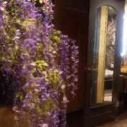 ヒメ日記 2025/04/25 09:39 投稿 池上　せいさ エテルナ京都