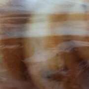 ヒメ日記 2025/05/16 11:37 投稿 池上　せいさ エテルナ京都