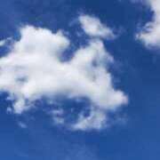 ヒメ日記 2025/07/28 09:39 投稿 池上　せいさ エテルナ京都