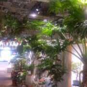 ヒメ日記 2025/08/10 15:20 投稿 池上　せいさ エテルナ京都