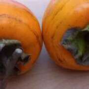 池上　せいさ お久しぶり🎵 エテルナ京都