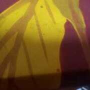 池上　せいさ 差し入れありがとう💏 エテルナ京都