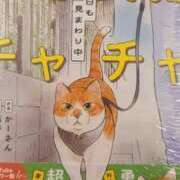 池上　せいさ 皆様お元気？☺️ エテルナ京都