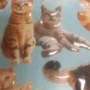 ヒメ日記 2025/02/01 17:54 投稿 ゆうは 艶熟妻 京都店