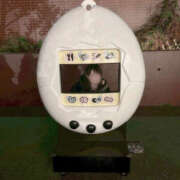 ヒメ日記 2026/03/03 09:52 投稿 あかね 夜這い物語