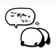 ヒメ日記 2025/09/14 10:47 投稿 ここね マリン宮殿雄琴店