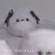 ヒメ日記 2025/02/26 19:04 投稿 あかね メイドde本舗