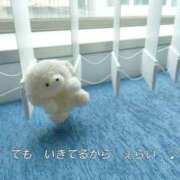 ヒメ日記 2026/01/30 09:46 投稿 あかね メイドde本舗