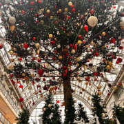 ヒメ日記 2025/11/19 07:59 投稿 あいの 恋愛生欲情の扉