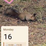 ヒメ日記 2026/03/15 22:49 投稿 あいの 恋愛生欲情の扉