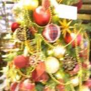 ヒメ日記 2024/12/19 15:36 投稿 ともこ 熟女家 京橋店