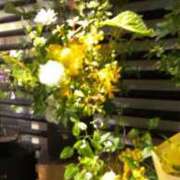 ヒメ日記 2024/12/27 17:07 投稿 ともこ 熟女家 京橋店