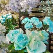 ヒメ日記 2025/01/06 14:56 投稿 ともこ 熟女家 京橋店